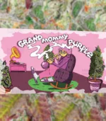 Advertiserment for grand mommy purple Herbies USA seeds